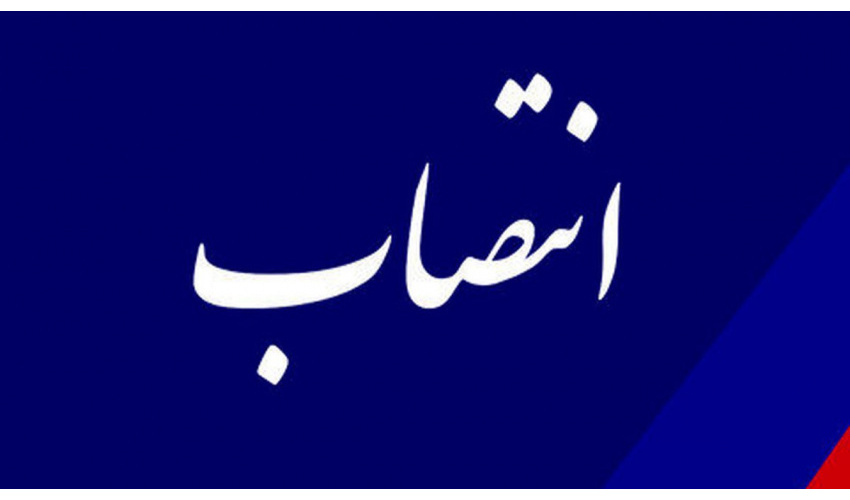 مدیر همکاری‌های علمی بین المللی «سمت» منصوب شد